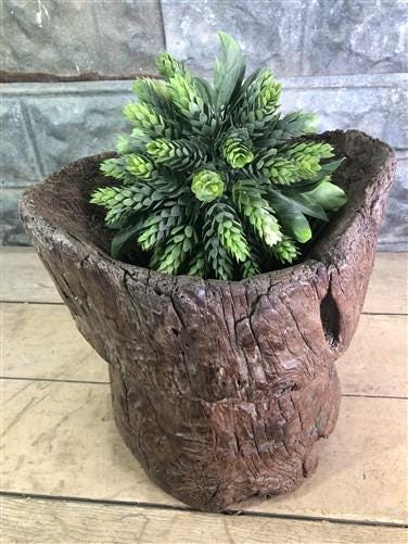 Rustic Wood Planter, Wood Stump, Round Wooden Flower Pot, Natural Wood Decor, L