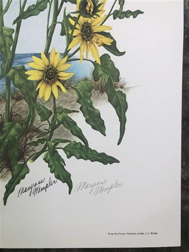 Art & Collectibles > Prints > Lithographs - Maryrose Wampler, Dune Flowers, Signed Print, 28x22 Wall Art, Plate 20 by The...