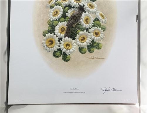 Art & Collectibles > Prints > Lithographs - Richard Sloan, Cactus Wren, Signed Print, 28x22, Wade Collection, Plate 26 by...