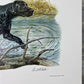 Art & Collectibles > Prints > Lithographs - Ernest Hart, Yellow Black Labradors, Signed Dog Print, 16x20, Wade Collection,...