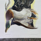 Art & Collectibles > Prints > Lithographs - Ernest Hart, Black Lab with Duck, Signed Dog Print, 16x20, Wade Collection, B...