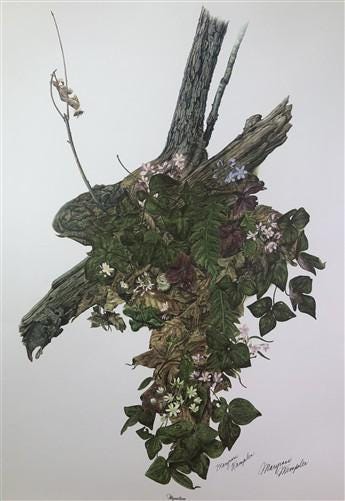 Art & Collectibles > Prints > Lithographs - Maryrose Wampler, Hepatica, Signed Print, 28x22 Wall Art, Plate 15 by The Old...