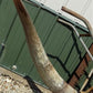 Home & Living > Home Decor > Wall Decor > Wall Hangings - 4'11" Longhorn Mounted Cattle Horns Steer Bull Western Texas Ran...