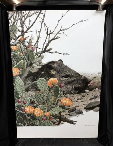 Art & Collectibles > Prints - Axel Amuchastegui, Peccary, 20.75x14 South American Wildlife Art Print M by The Old Grainery...