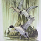 Art & Collectibles > Prints > Lithographs - Richard Sloan, Pintail, Signed Print, 28x22, Wade Collection, Plate 32 by The...
