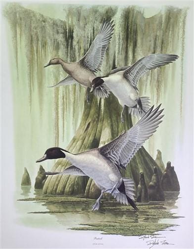 Art & Collectibles > Prints > Lithographs - Richard Sloan, Pintail, Signed Print, 28x22, Wade Collection, Plate 32 by The...