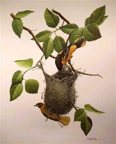 Art & Collectibles > Prints > Lithographs - Richard Sloan, Baltimore Oriole, Signed Print, 28x22, Wade Collection, Plate 1...