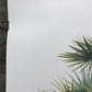 Art & Collectibles > Prints > Lithographs - Richard Timm, Florida Key Deer, Signed Print, 28x22 Wade Collection, Plate 15...