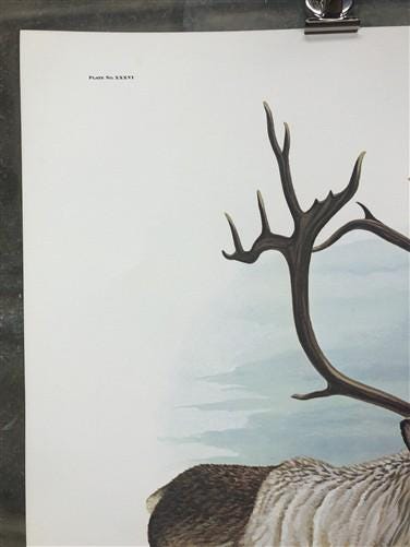 Art & Collectibles > Prints > Lithographs - Richard Timm, Ground Caribou, Signed Print, 28x22 Wade Collection, Plate 36 by...
