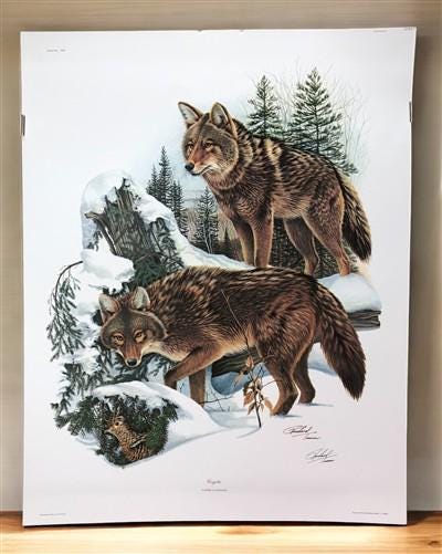 Art & Collectibles > Prints > Lithographs - Richard Timm, Coyote, Signed Print, 28x22 Wade Collection, Plate 21 by The Old...