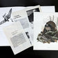 Art & Collectibles > Prints > Lithographs - Richard Sloan, Ruffled Grouse, Signed Print, 11x14, Essay, Sketches, Plate 12...