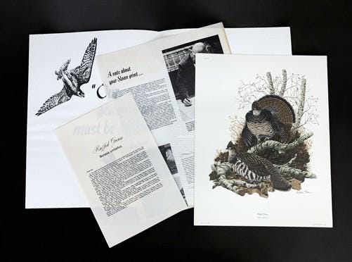 Art & Collectibles > Prints > Lithographs - Richard Sloan, Ruffled Grouse, Signed Print, 11x14, Essay, Sketches, Plate 12...
