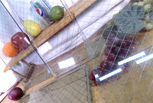 Home & Living > Home Improvement > Windows - 5 Panes Chicken Wire Glass, Georgian Wire Fire Resistant Safety Glass Panels,...