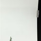 Art & Collectibles > Prints > Lithographs - Richard Sloan, Great Egret, Signed Print, 28x22, Wade Collection, Plate 37 by...