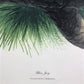 Art & Collectibles > Prints > Lithographs - Richard Sloan, Blue Jay, Signed Print, 28x22, Wade Collection, Plate 44 by The...