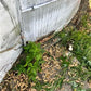 Home & Living > Outdoor & Gardening > Garden Decoration - Grain Bin, Vintage Storage Shed, Rustic She Shed, Garden, Tiny H...