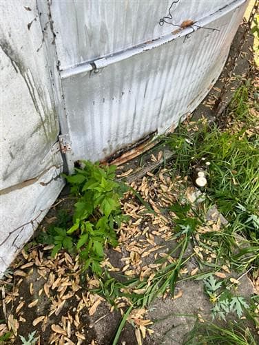 Home & Living > Outdoor & Gardening > Garden Decoration - Grain Bin, Vintage Storage Shed, Rustic She Shed, Garden, Tiny H...