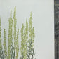 Maryrose Wampler, Paintbrush & Sagebrush, Signed Print, 28x22 Wall Art, Plate 25