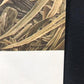 Art & Collectibles > Prints - Axel Amuchastegui, Rosy Billed Ducks, 20.75x14 South American Bird Art Print J by The Old Gr...