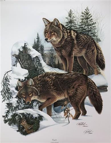 Art & Collectibles > Prints > Lithographs - Richard Timm, Coyote, Signed Print, 28x22 Wade Collection, Plate 21 by The Old...