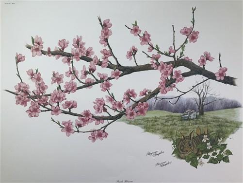 Maryrose Wampler, Peach Blossom, Signed Print, 28x22 Wall Art, Plate 16