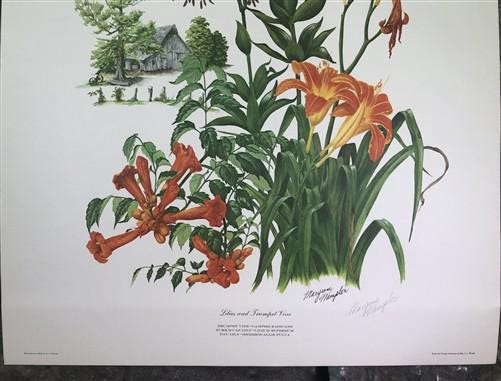Art & Collectibles > Prints > Lithographs - Maryrose Wampler, Lilies & Trumpet Vine, Signed Print, 28x22 Wall Art, Plate 2...