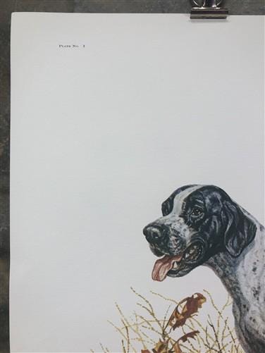 Art & Collectibles > Prints > Lithographs - Ernest Hart, English Pointer, Signed Dog Print, 28x22, Wade Collection, Plate...