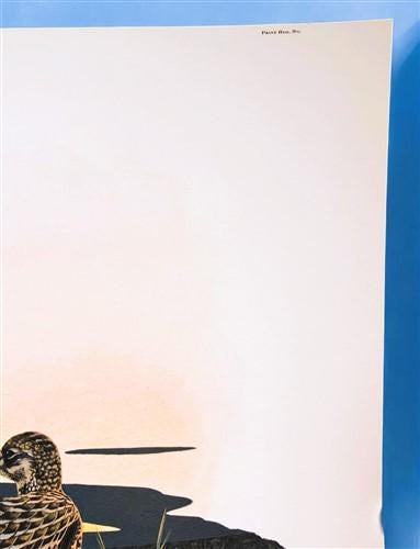 Art & Collectibles > Prints > Lithographs - Richard Sloan, Prairie Chicken, Signed Print, 28x22, Wade Collection, Plate 11...