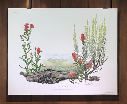 Maryrose Wampler, Paintbrush & Sagebrush, Signed Print, 28x22 Wall Art, Plate 25