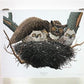 Art & Collectibles > Prints > Lithographs - Richard Sloan, Great Horned Owl, Signed Print, 11x14, Essay, Sketches, Plate 7...