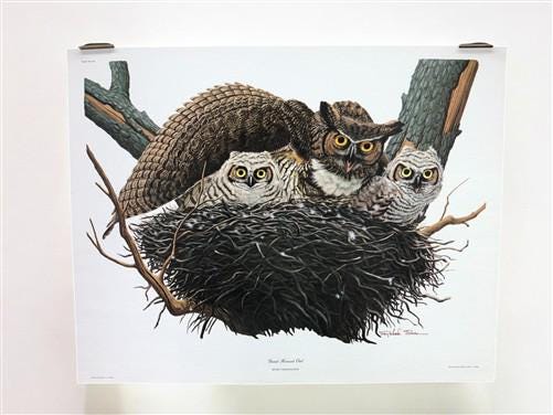 Art & Collectibles > Prints > Lithographs - Richard Sloan, Great Horned Owl, Signed Print, 11x14, Essay, Sketches, Plate 7...