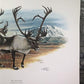 Art & Collectibles > Prints > Lithographs - Richard Timm, Ground Caribou, Signed Print, 28x22 Wade Collection, Plate 36 by...