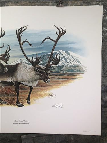 Art & Collectibles > Prints > Lithographs - Richard Timm, Ground Caribou, Signed Print, 28x22 Wade Collection, Plate 36 by...