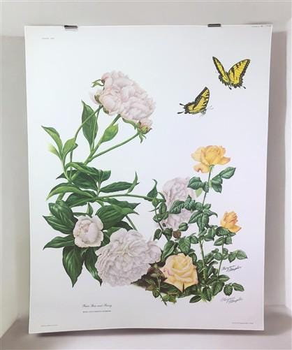 Maryrose Wampler, Peace Rose and Peony, Signed Print, 28x22 Wall Art, Plate 17