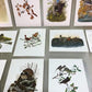 Art & Collectibles > Prints - 15 Miniature 4x5 Richard Sloan North American Bird Art Prints, Nature House A by The Old Gra...