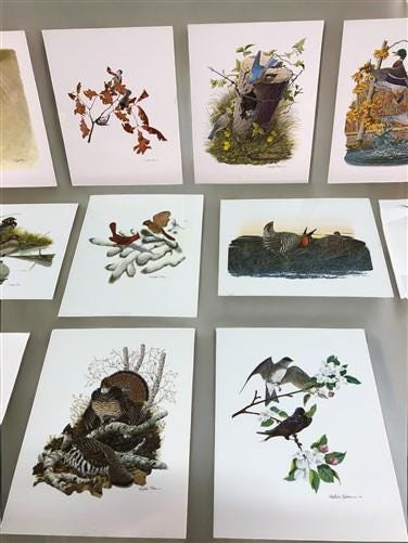 Art & Collectibles > Prints - 15 Miniature 4x5 Richard Sloan North American Bird Art Prints, Nature House A by The Old Gra...
