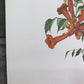 Art & Collectibles > Prints > Lithographs - Maryrose Wampler, Lilies & Trumpet Vine, Signed Print, 28x22 Wall Art, Plate 2...