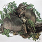 Art & Collectibles > Prints > Lithographs - Richard Timm, Armadillo, Signed Print, 28x22 Wade Collection, Plate 23 by The...