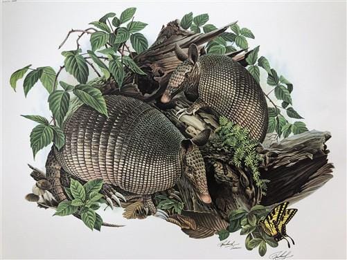 Art & Collectibles > Prints > Lithographs - Richard Timm, Armadillo, Signed Print, 28x22 Wade Collection, Plate 23 by The...