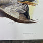 Art & Collectibles > Prints > Lithographs - Ernest Hart, Black Lab with Duck, Signed Dog Print, 16x20, Wade Collection, B...