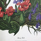 Art & Collectibles > Prints > Lithographs - Maryrose Wampler, Spring Bulbs, Signed Print, 28x22 Wall Art, Plate 26 by The...