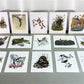 Art & Collectibles > Prints - 15 Miniature 4x5 Richard Sloan North American Bird Art Prints, Nature House A by The Old Gra...
