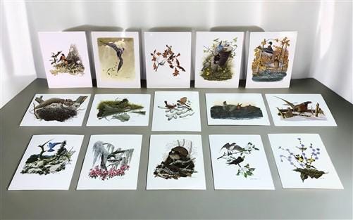 Art & Collectibles > Prints - 15 Miniature 4x5 Richard Sloan North American Bird Art Prints, Nature House A by The Old Gra...