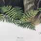 Art & Collectibles > Prints > Lithographs - Richard Timm, Black Bear, Signed Print, 28x22 Wade Collection, Plate 24 by The...