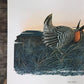 Art & Collectibles > Prints > Lithographs - Richard Sloan, Prairie Chicken, Signed Print, 11x14, Essay, Sketches, Plate 11...