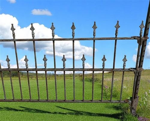 Home & Living > Outdoor & Gardening > Garden Decoration > Yard Art - Wrought Iron Vintage Fence Panel (97x41) Architectura...
