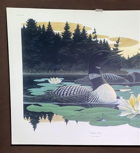 Art & Collectibles > Prints > Lithographs - Richard Sloan, Common Loon, Signed Print, 28x22, Wade Collection, Plate 29 by...