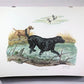 Art & Collectibles > Prints > Lithographs - Ernest Hart, Labrador, Signed Dog Print, 28x22, Wade Collection, Plate 5 by Th...
