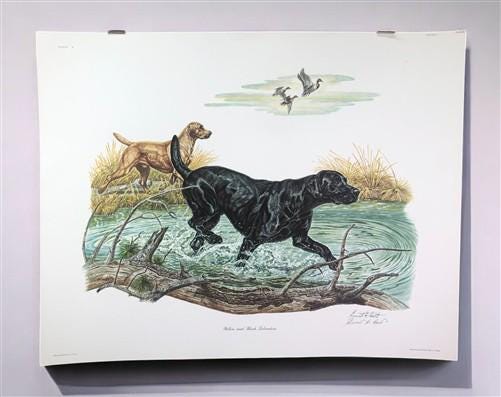 Art & Collectibles > Prints > Lithographs - Ernest Hart, Labrador, Signed Dog Print, 28x22, Wade Collection, Plate 5 by Th...