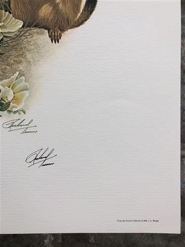 Art & Collectibles > Prints > Lithographs - Richard Timm, Prairie Dog, Signed Print, 28x22 Wade Collection, Plate 29 by Th...